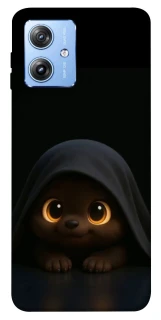 Чохол на Motorola Moto G84 Funny Dog фото 1 з 1