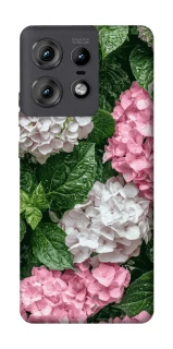 Чехол на Motorola Edge 50 Pro Secret Garden фото 1 из 1