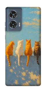 Чохол на Motorola Edge 50 cats on wall фото 1 Чохол на Motorola Edge 50 cats on wall фото 1 з 1