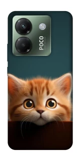 Чохол на Xiaomi Poco M7 pro 5G Чохол Кошеня фото 1 з 1