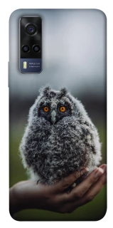 Чехол на Vivo Y53s Совёнок фото 1 из 1
