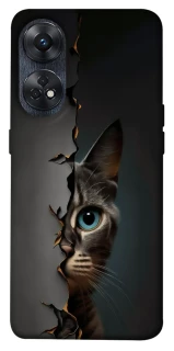 Чехол на Oppo Reno 8T 4G Кот-подглядыватель v2 фото 1 из 1