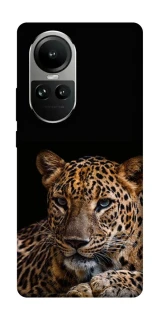 Чехол на Oppo Reno 10 Leopard v4 фото 1 из 2