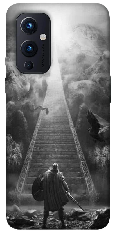 Чехол на OnePlus 9 Valhalla фото 1 из 1