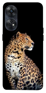 Чохол на Oppo Reno 8T 4G Leopard v2 фото 1 з 1