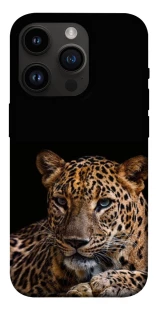 Чехол на Apple iPhone 14 Pro (6.1") Leopard v4 фото 1 из 1