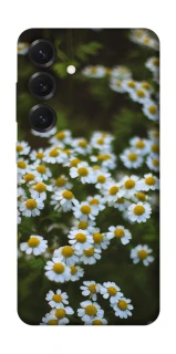 Чехол на Samsung Galaxy S26+ Ромашки v13 фото 1 из 1