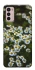 Чохол на Motorola Moto G42 Ромашки v13 фото 1 з 1