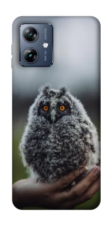 Чохол на Motorola Moto G54 Power Совеня фото 1 з 1