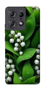 Чохол на Motorola Edge 50 Pro Flowers v24 фото 1 з 1