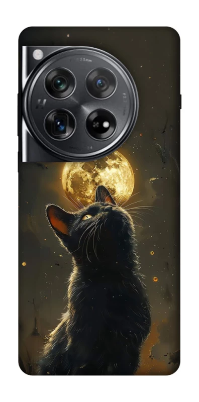 Чохол на OnePlus 12 Кіт під місяцем v2 фото 1 з 1