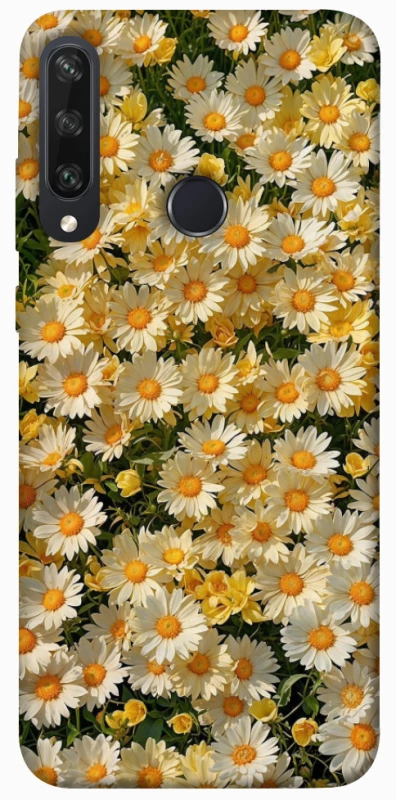 Чохол на Huawei Y6p Camomile фото 1 з 1