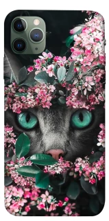 Чехол на Apple iPhone 11 Pro Max (6.5") Кот в цветах фото 1 из 1
