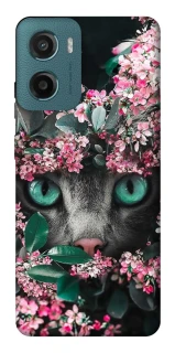 Чехол на Motorola Moto G06 Кот в цветах фото 1 из 1