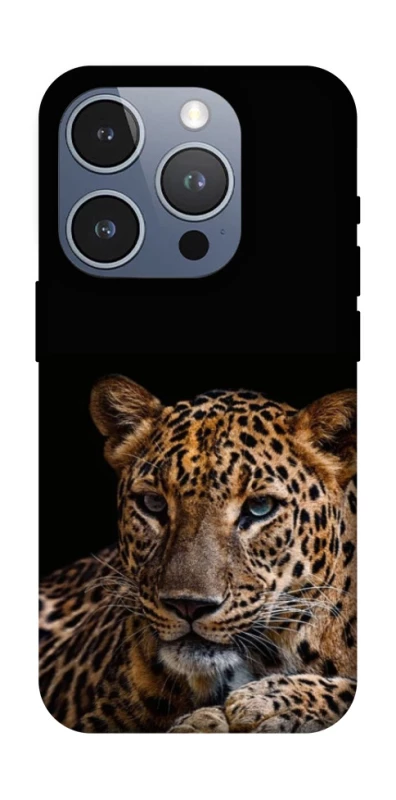 Чохол на Apple iPhone 16 Pro Leopard v4 фото 1 з 1