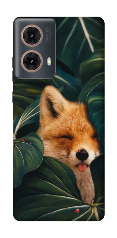 Чохол на Motorola Moto G85 Fox фото 1 з 1