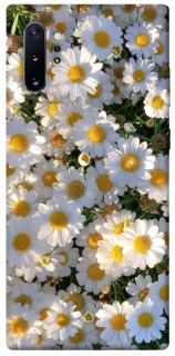 Чехол на Samsung Galaxy Note 10 Plus Поле ромашек фото 1 из 1