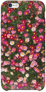 Чохол на Apple iPhone 6/6s plus (5.5") Flowers v8 фото 1 з 1