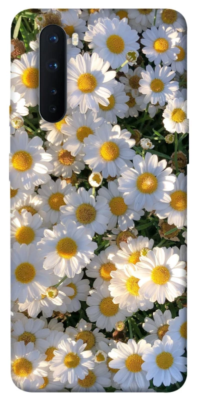 Чехол на OnePlus Nord Поле ромашек фото 1 из 1