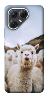 Чохол на TECNO Pova 7 Лама фото 1 з 1