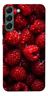 Чехол на Samsung Galaxy S22+ Малинка фото 1 из 1