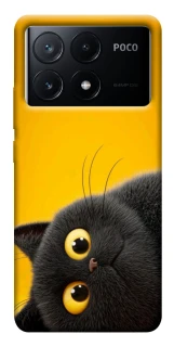 Чохол на Xiaomi Poco X6 This is Cat фото 1 з 1