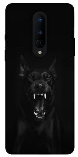 Чехол на OnePlus 8 Доберман фото 1 из 1