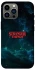 Чохол на Apple iPhone 13 Pro Max (6.7") Stranger Things ver.30 фото 1 з 1