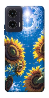 Чохол на Motorola Moto G35 Sunflowers фото 1 з 1