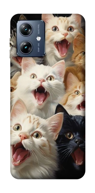 Чохол на Motorola Moto G54 Power Коти фото 1 з 1