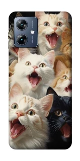 Чохол на Motorola Moto G54 Power Коти фото 1 з 1