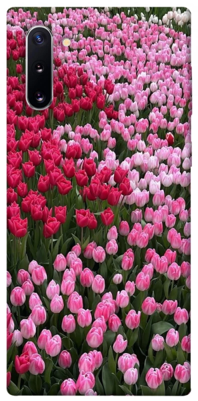 Чехол на Samsung Galaxy Note 10 Flowers v9 фото 1 из 1