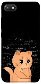 Чохол на Xiaomi Redmi 6A Smart cat фото 1 з 1