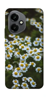 Чехол на Honor 400 Ромашки v13 фото 1 из 1