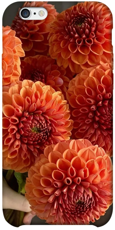 Чехол на Apple iPhone 6/6s plus (5.5") Flower1 фото 1 из 1