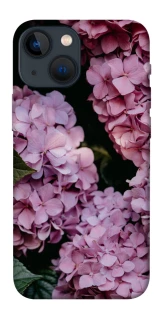 Чохол на Apple iPhone 13 mini (5.4") Рожеві гартензії фото 1 з 1