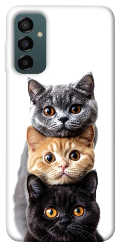 Чохол на Samsung Galaxy M14 5G Гарні котики фото 1 з 1