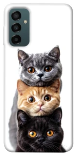 Чохол на Samsung Galaxy M14 5G Гарні котики фото 1 з 1