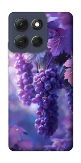 Чохол на Motorola Moto G86 Bunch of grapes фото 1 з 1