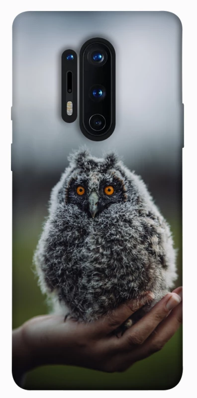 Чохол на OnePlus 8 Pro Совеня фото 1 з 1