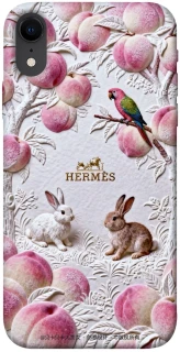 Чехол на Apple iPhone XR (6.1") Hermes фото 1 из 1