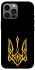 Чохол на Apple iPhone 12 Pro Max (6.7") Герб України v3 фото 1 з 1