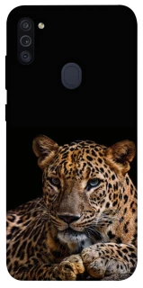 Чехол на Samsung Galaxy M11 Leopard v4 фото 1 из 1