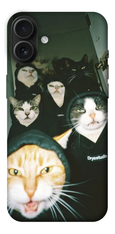 Чехол на Apple iPhone 16 Plus Сatsss фото 1 из 1
