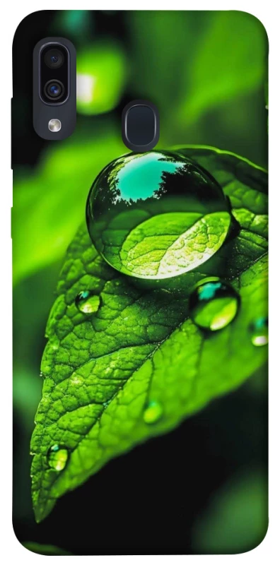 Чохол на Samsung Galaxy A20 / A30 Flowers v16 фото 1 з 1