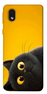Чохол на Samsung Galaxy M01 Core / A01 Core This is Cat фото 1 з 1