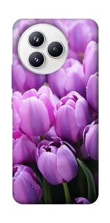 Чехол на Xiaomi Civi 5 Pro Фиолетовые тюльпаны фото 1 из 1