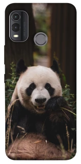 Чохол на Nokia G11 Plus Панда фото 1 з 1