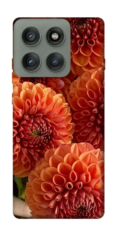 Чохол на Motorola Edge 60 Pro Flower1 фото 1 з 1