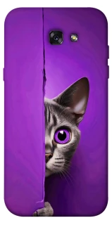 Чохол на Samsung A720 Galaxy A7 (2017) Кіт-підглядач фото 1 з 1
